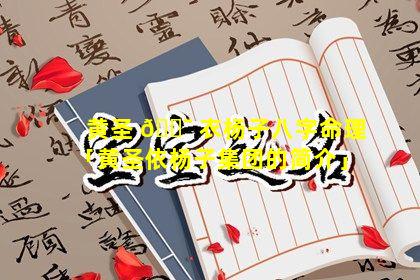 黄圣 🐯 衣杨子八字命理「黄圣依杨子集团的简介」